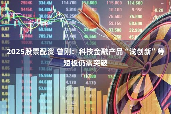 2025股票配资 曾刚：科技金融产品“浅创新”等短板仍需突破