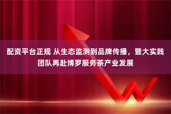 配资平台正规 从生态监测到品牌传播，暨大实践团队再赴博罗服务茶产业发展
